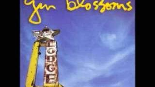 Gin Blossoms - The End Of The World