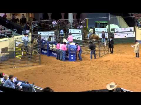 PLAYGUN WATCHER - 2014 AQHA World - SENIOR HEADING PRELIMS