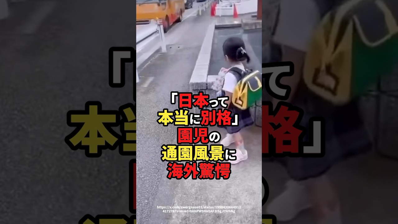 「日本って本当に別格」園児の通園風景に海外驚愕 #海外の反応  #shorts