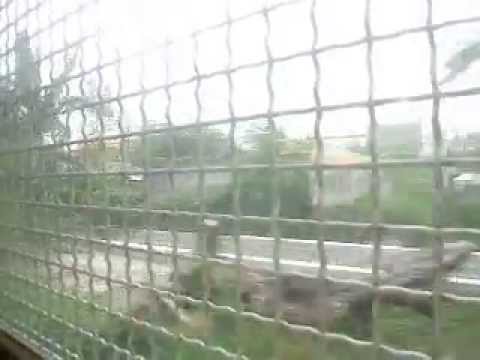 T-16:17 Cruising Muntinlupa Area