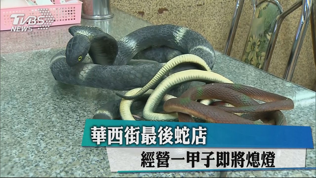華西街最後蛇店 經營一甲子即將熄燈