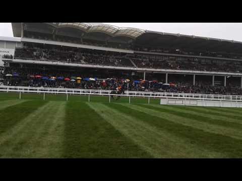 Thistlecrack novice chase cheltenham 2016