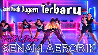 Download lagu Senam aerobik special musik Dugem terbaru 2026 full 1 jam untuk latihan dirumah @LiaMarliaChannel   mp3
