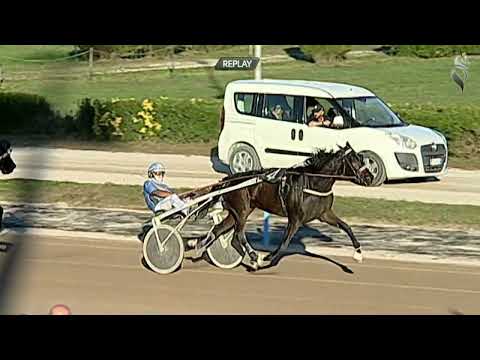 Aversa trotto 29 Ottobre 2022 - 6° Corsa