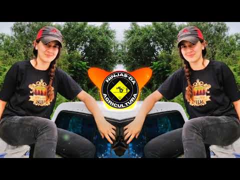 As Menina da Pecuária - Ana Castela e Léo e Rafhael (Ninjas da Agricultura)