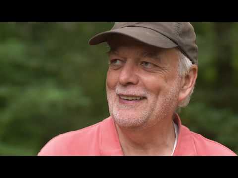 beeMOOC - Was sammlen die Bienen