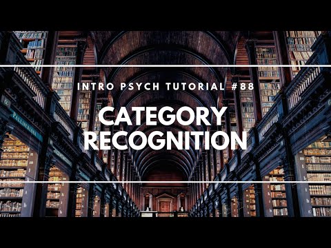 Language Acquisition Skinner vs Chomsky Intro Psych Tutorial 82