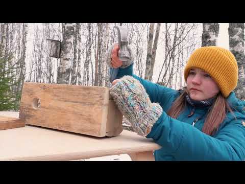 Linnunpöntön rakentaminen