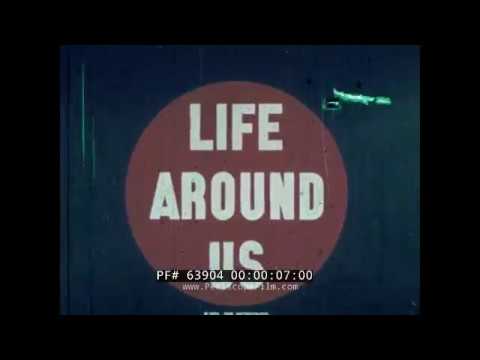 "LIFE AROUND US: WHALING"  1960s WHALE & KILLER WHALE DOCUMENTARY WHALING INDUSTRY 63904