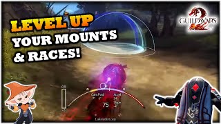 Racing Meter Showcase – Guild Wars 2 Blish HUD Guide