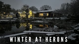 Winter at Herons Bonsai