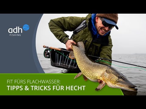 Fly fishing for pike - Fit for shallow water - Tips & tricks