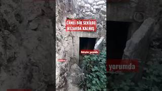 Download lagu Canlı bir şekilde mezarda kalmış #arkeoloji #iznik #bursa #fyp #gezilecekyerler #mezar #tarih #gezi mp3 Download lagu Canlı bir şekilde mezarda kalmış #arkeoloji #iznik #bursa #fyp #gezilecekyerler #mezar #tarih #gezi mp3