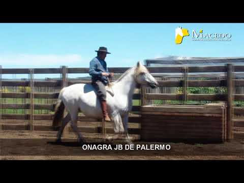 17   ONAGRA JB DE PALERMO