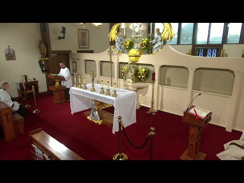 Daily Readings and Homily - 2025-09-19 - Fr. Sebastian Walshe