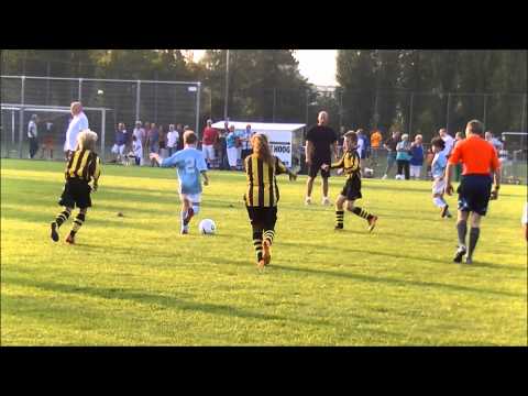 Samenvatting VFC E1 - Hermes DVS E1