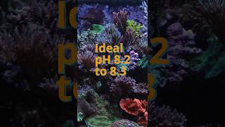 Maintain Reef Tank pH for EXPLOSIVE Coral Growth!