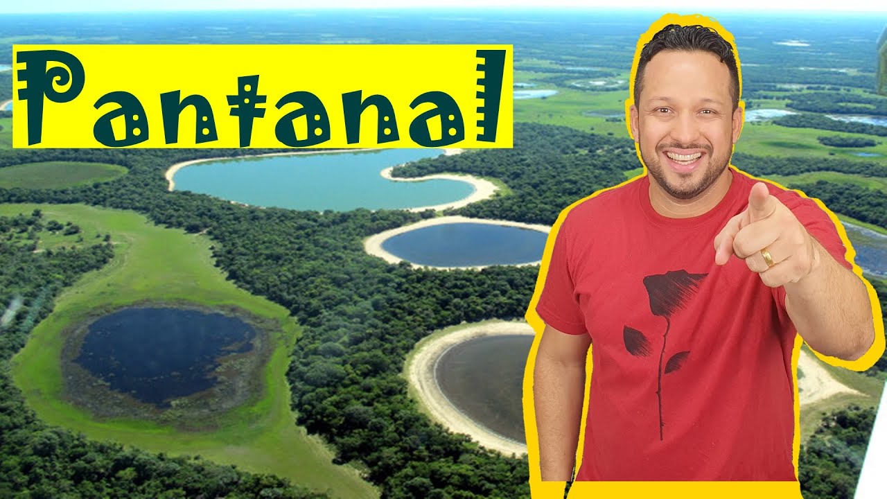 Pantanal - Características gerais, Fauna, Flora e Adaptações - Bioma Brasileiro - Ecologia
