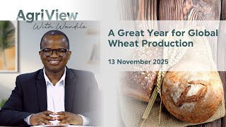 Ep 25 - A Great Year for Global Wheat Production
