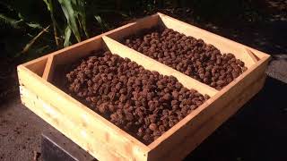 Processing Nuts - Is it Worth the Time?