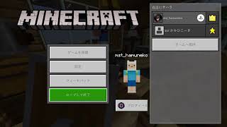 [マイクラ参加型](声無し)初見さん大歓迎！エラー多すぎ