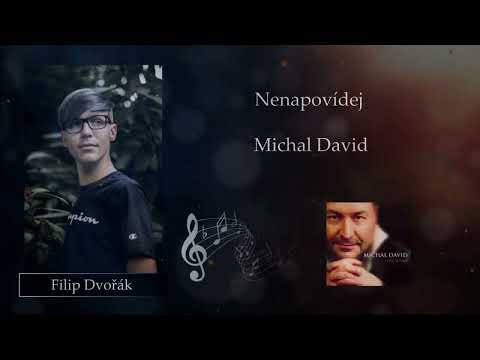 Michal David - Nenapovídej