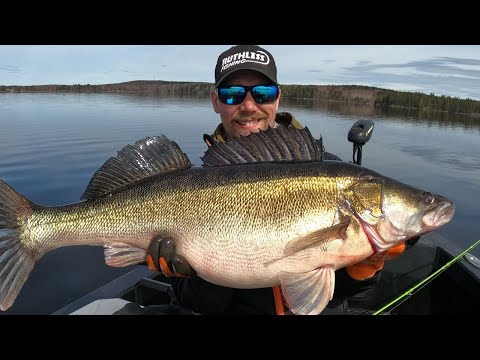 10KG + ZANDER WITH LOWRANCE ACTIVE TARGET!