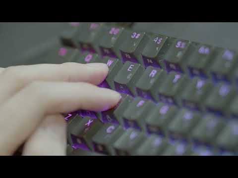 Elevate Comfort Asian Master's Silver RGB 60% Mechanical Keyboard Sound 3