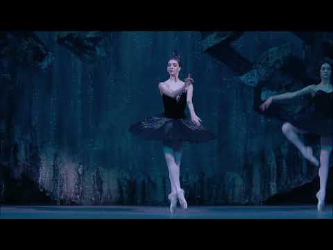 ¡Disfruta de Carmen en Yelmo Cines!