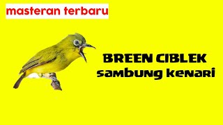 Download lagu burung pleci tembakan bren ciblek sambung kenari mp3