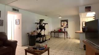 Zillow 180 NE 12 Ave. Apt. 16A Hallandale FL.33009