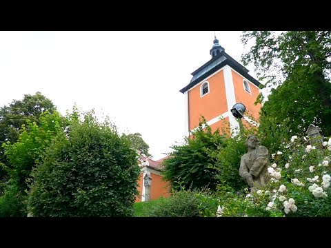 Urlaub dahoam: Die Wiesauer Waldseen