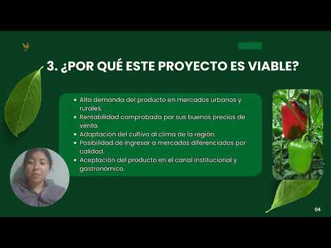 Propuesta para la finalización establecida del cultivo de pimentón en San Bernardo nariño