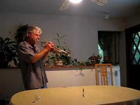 Holton Trumpet 602 - Brass image 11