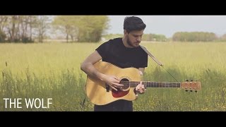 Mumford &amp; Sons - The Wolf (Acoustic Folk Cover By Damien McFly)