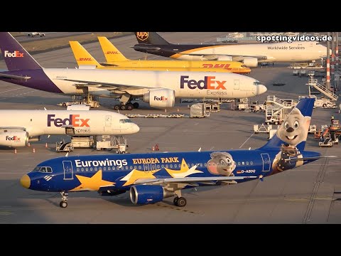 Planespotting CGN - Cologne Bonn Airport - 2019-07-05