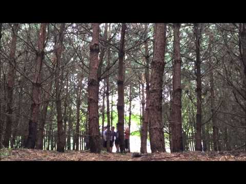 Obóz wilczkowy- Głęboczyca 2015