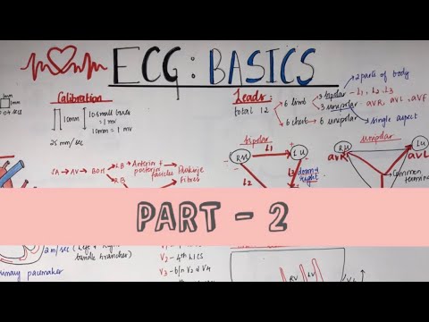 ECG Series| BASICS: Part-2| Andrea Joseph
