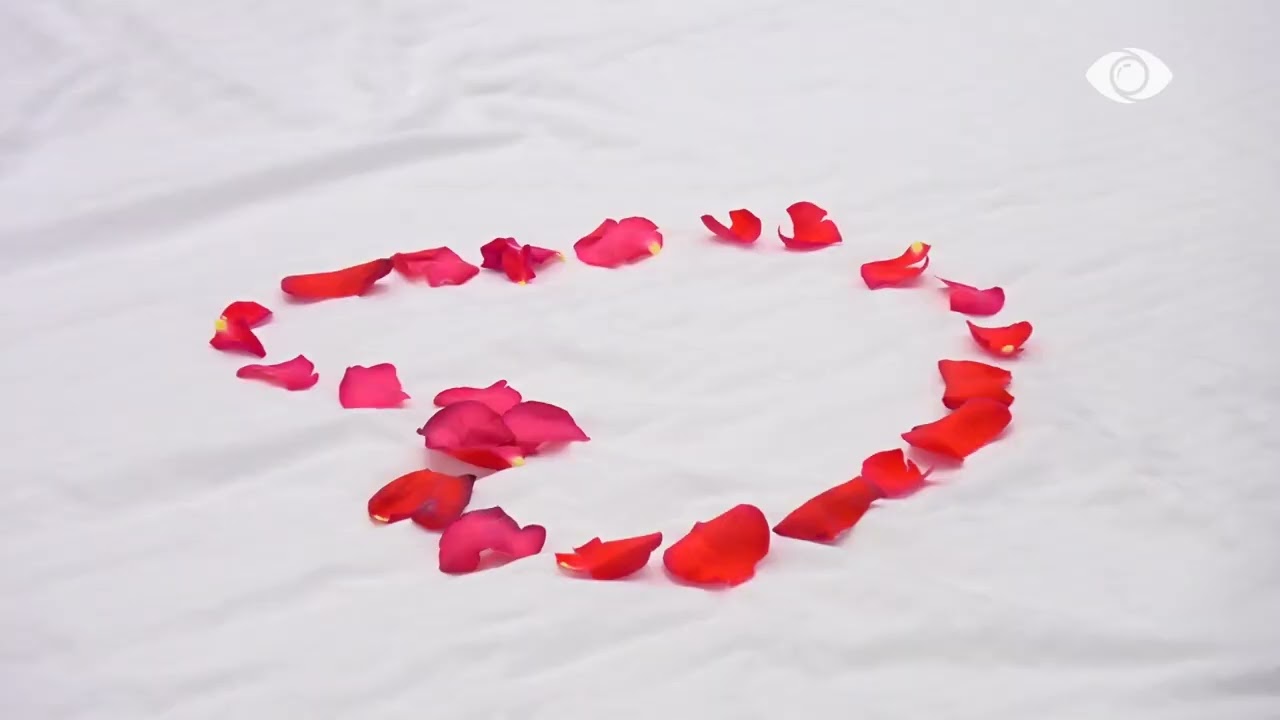 Rozana zbukuron shtratin e Gjestit dhe Eglit me petale trëndafilash