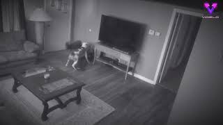 CÁMARA DE SEGURIDAD GRABÓ A UN PITBULL DEFENDIENDO A SU DUEÑA DE UN INTRUSO