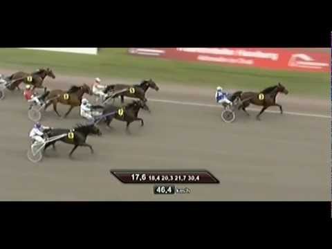 Preis von Cuxhaven 2012_Starello_Heinz Wewering 1:17,6