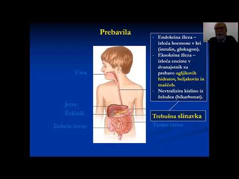 Prehranska prva pomoč oslabljenim prebavilom (Dr.Iztok Ostan) Dec.2021