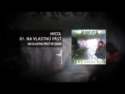 0.1Na Vlastnú päsť