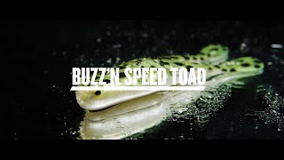 Frog Videos