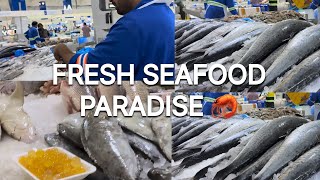 World’s Biggest Fish Market in Dubai 😲 Fresh Seafood Paradise #shendia