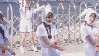 [180922] [4k] 핑크판타지(Pink Fantasy) '내 똥꼬는 힘이 좋아' 하린 직캠 By 반창꼬 @ 홍대 버스킹