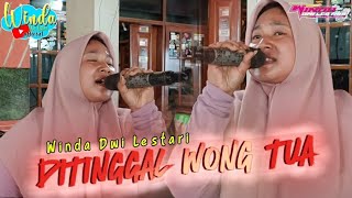 Download lagu DI TINGGAL WONG TUA || WINDA DWI LESTARI || ANDI PUTRA ONE || EDISI LATIHAN mp3