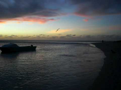 Vissen springen in de lucht