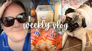 Affiliate Hustle, Grocery Haul & A Sunburn I Didn’t Order | WEEKLY VLOG