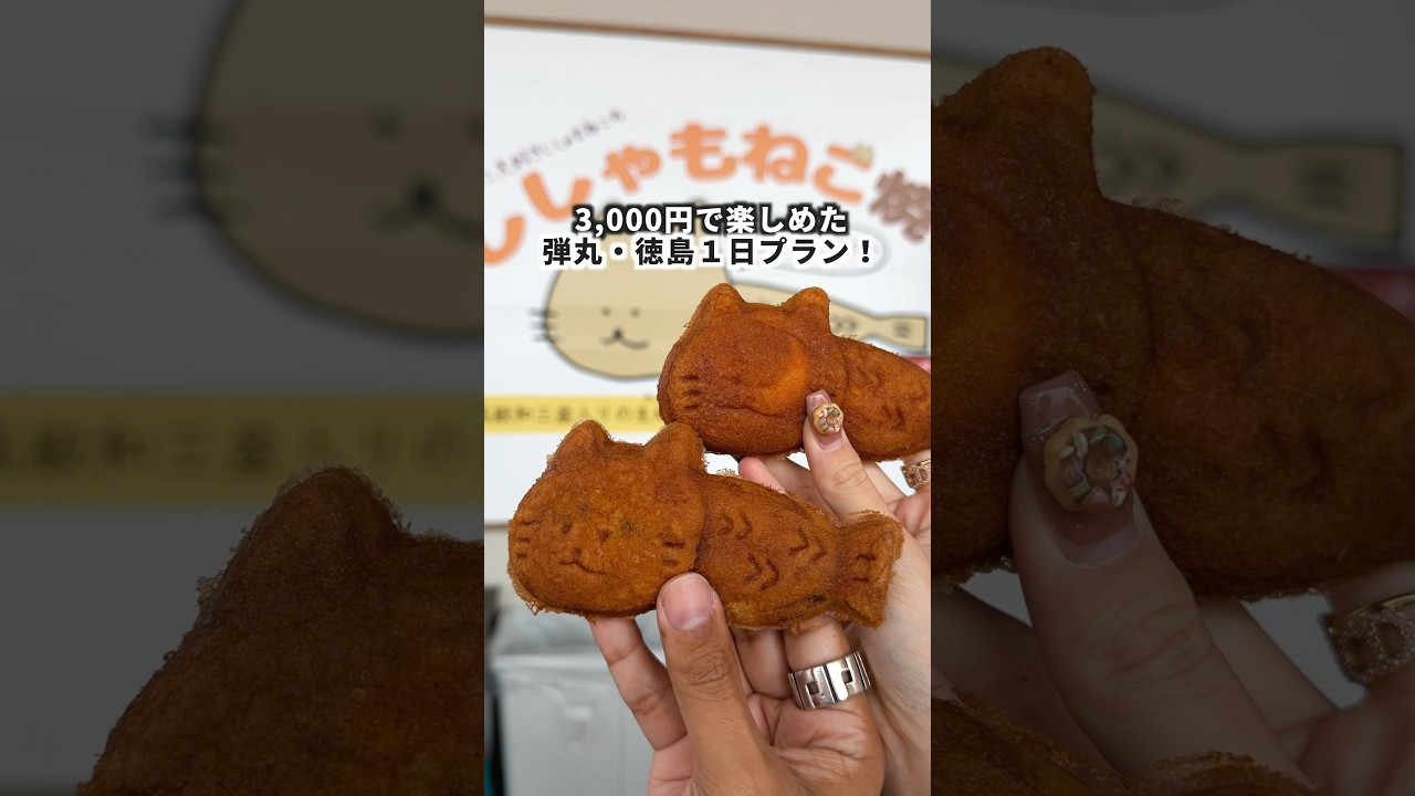 1人2,260円で楽しめた、可愛くて美味しい徳島1日プラン！